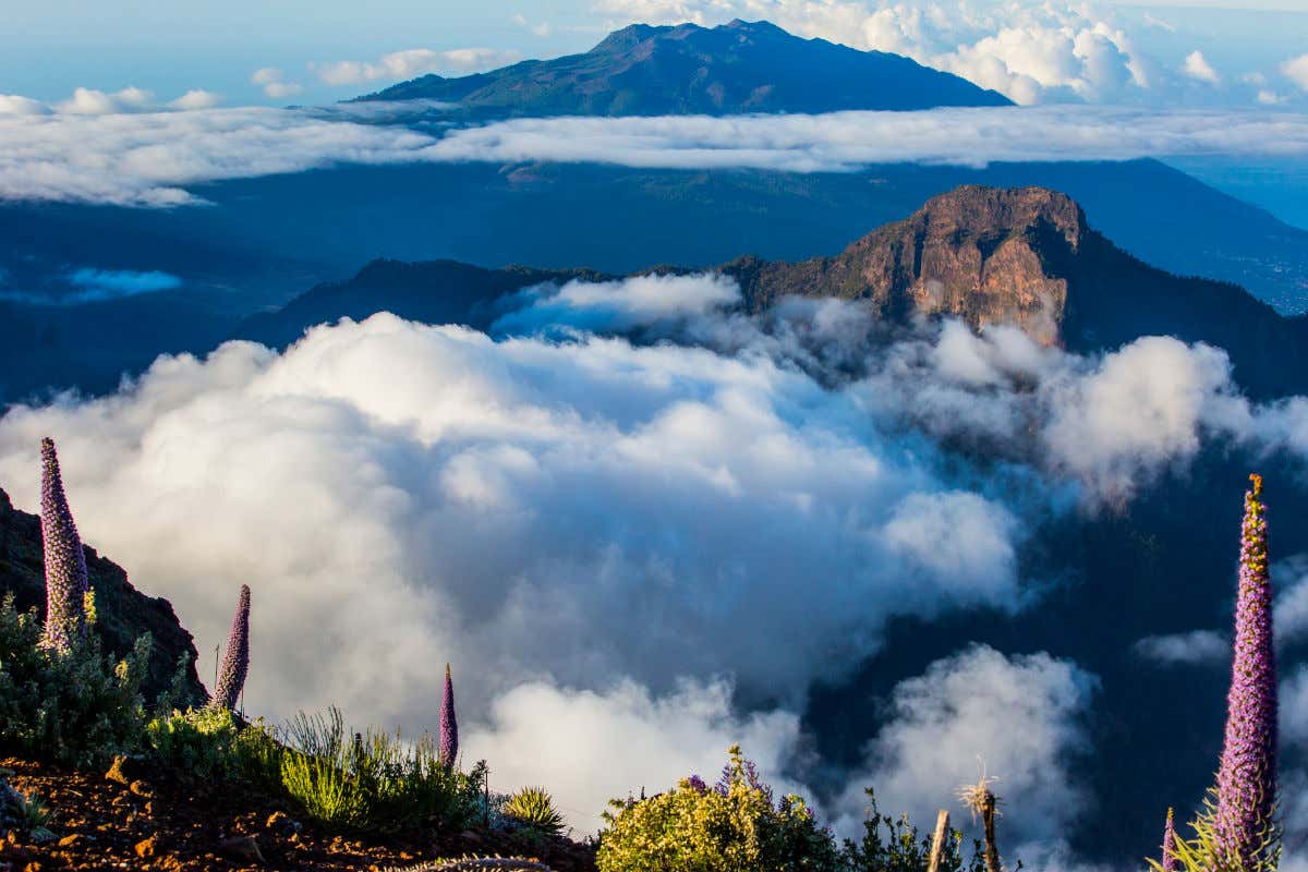 Varias nubes entre las montañas en la isla de La Palma