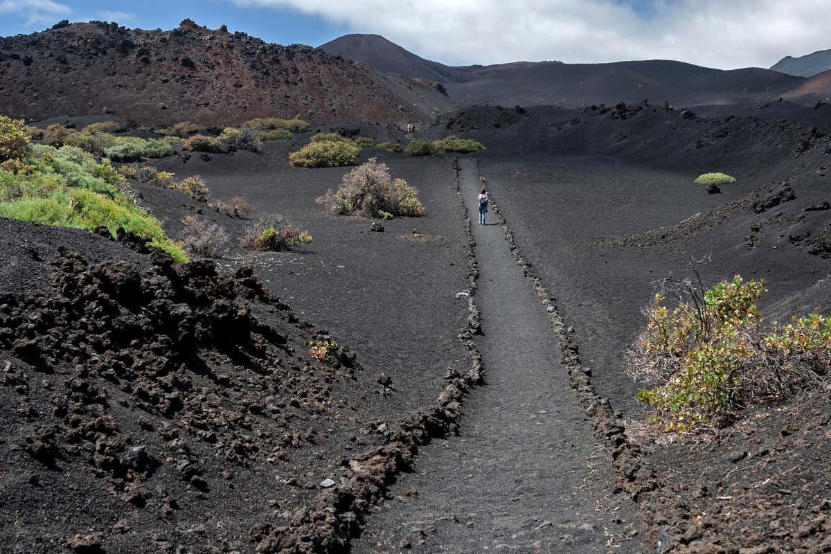 Varias personas caminando en un sendero de piedras en un paisaje volcánico con escasa vegetación