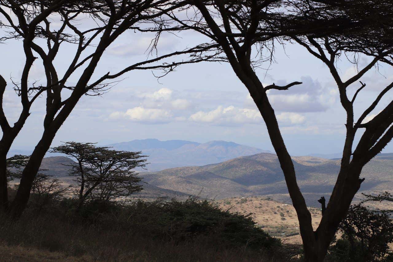 Paysage des collines de Ngong, près de Nairobi