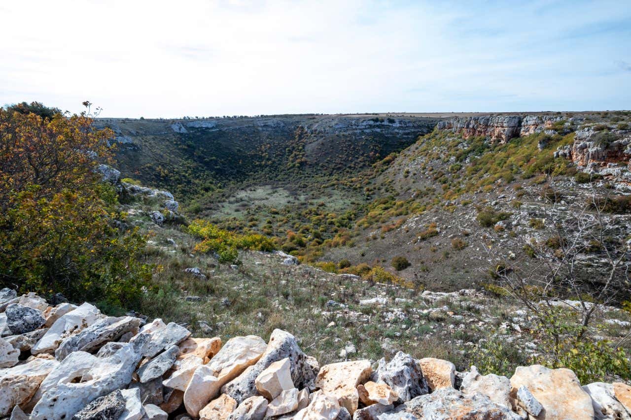 Panoramica di un canyon roccioso nel Parco Nazionale dell’Alta Murgia, con pareti calcaree stratificate che scendono verso un fondo vallivo erboso, circondato da macchia mediterranea e vegetazione spontanea, sotto un cielo limpido e soleggiato