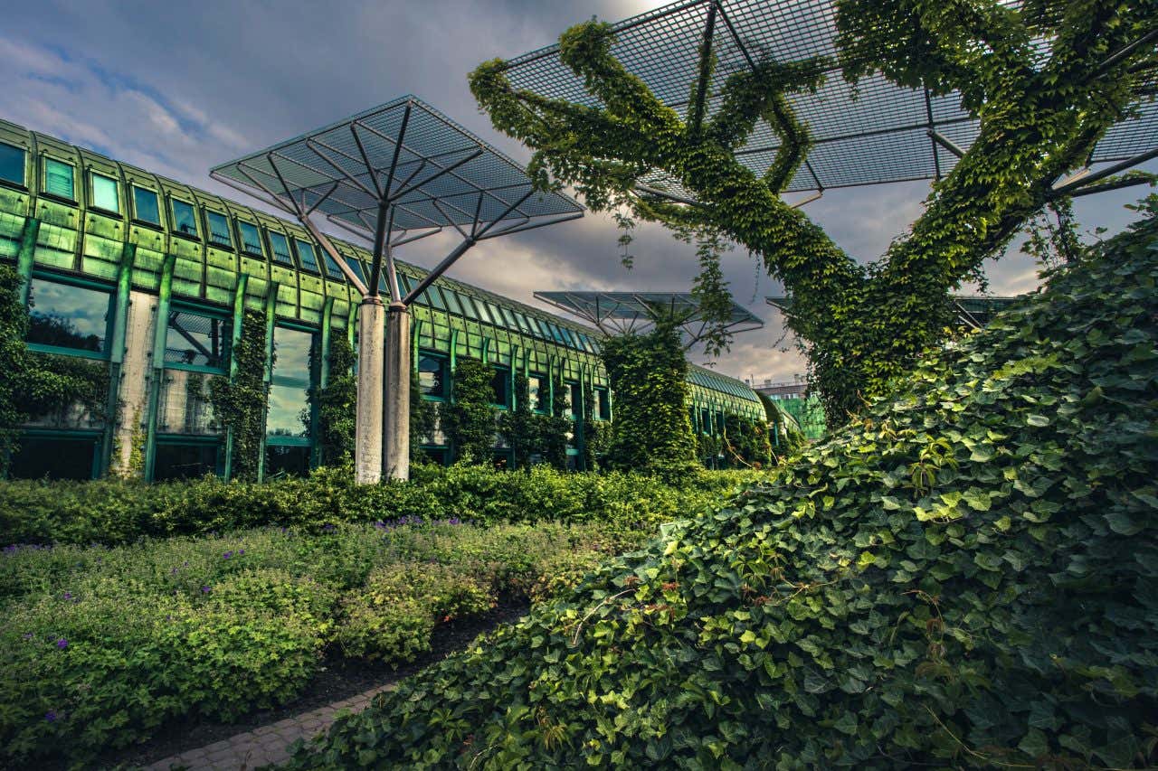 Giardino pensile della Biblioteca Universitaria di Varsavia con facciata verde coperta di piante rampicanti e strutture moderne ispirate alla natura