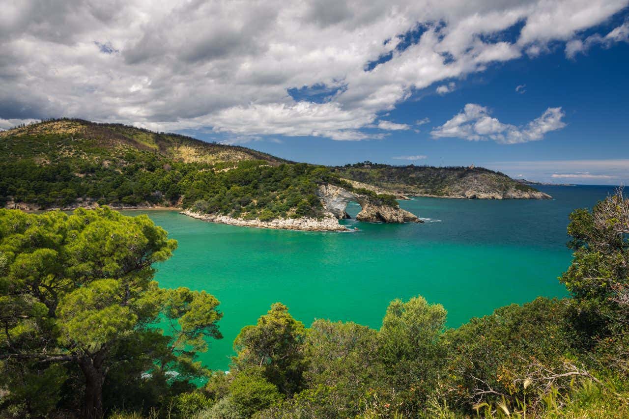 Una scogliera rocciosa a forma di arco si getta nel mare turchese delle Puglia. Il cielo è nuvoloso e tutto interno alla scogliere di estende un bosco di pini marittimi