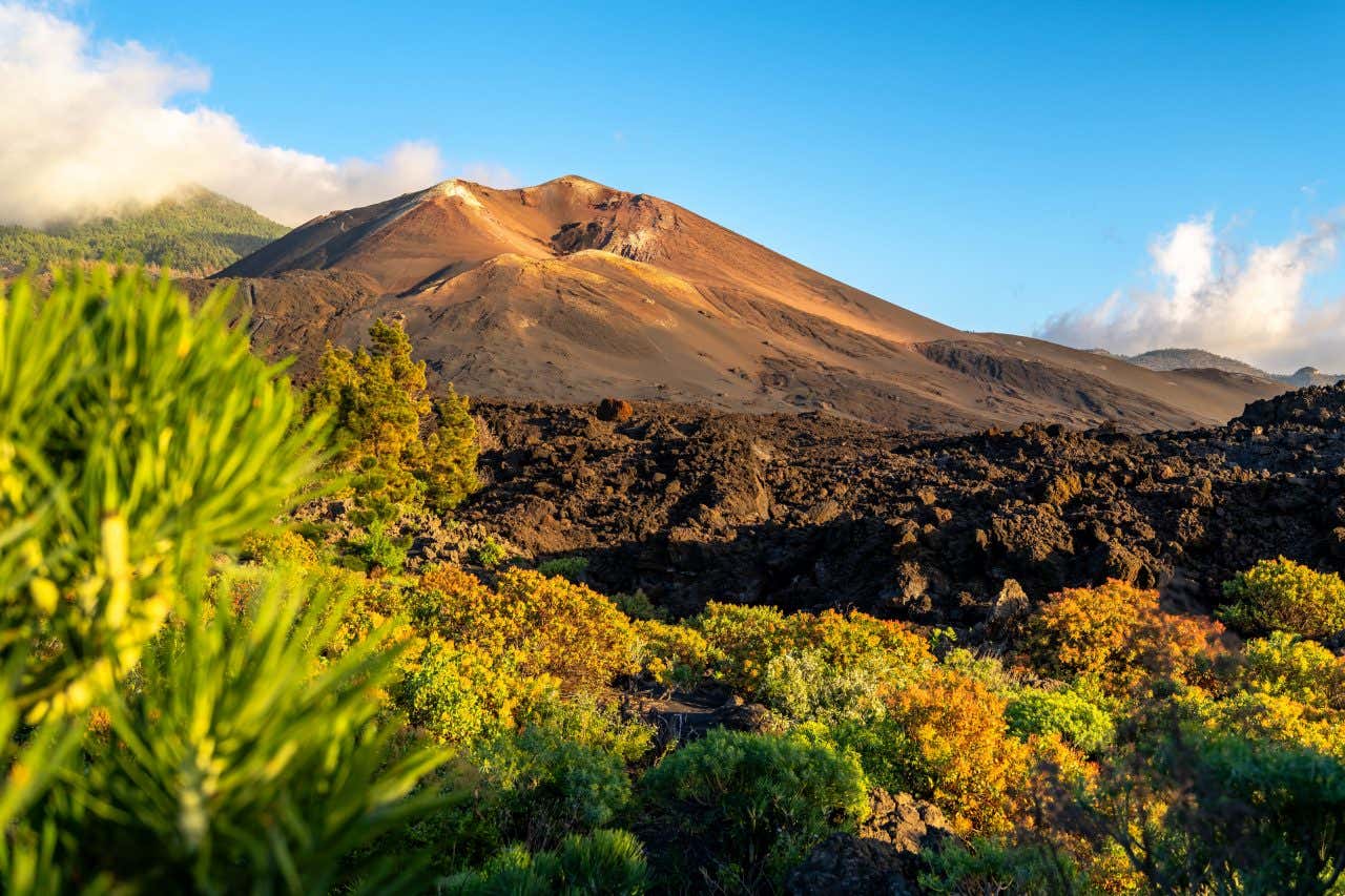 Vue sur le volcan Tajogaite,un lieu incontournables à La Palma et aux Canaries