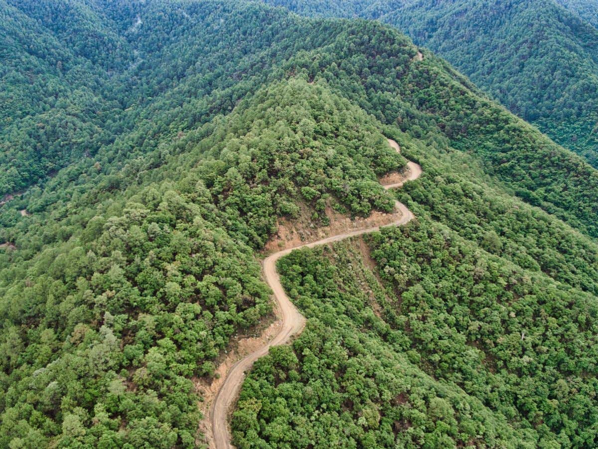 Los senderos serpenteantes de Sierra Juárez en vista aérea