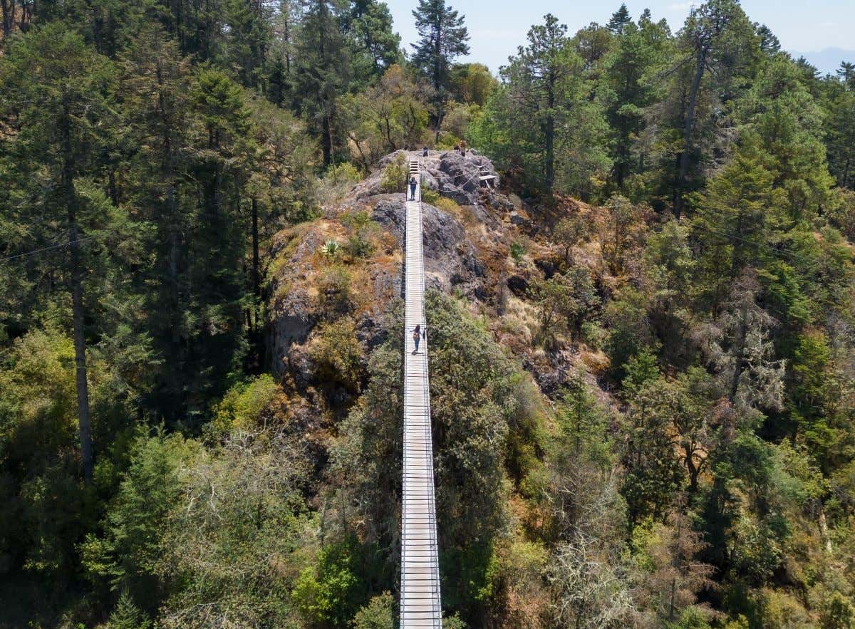 Un puente colgante en Sierra Norte de Oaxaca en vista aérea