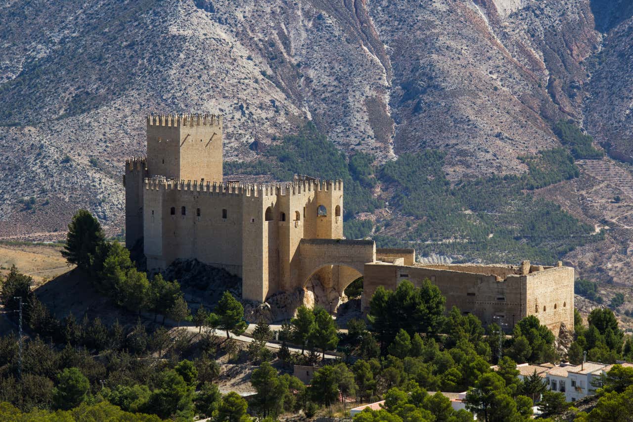 Castillo medieval en lo alto de una colina