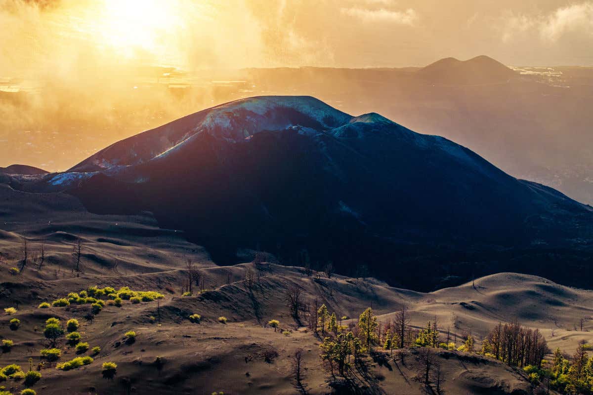 El volcán de Tajogaite, un cono volcánico al atardecer rodeado de algunos pinos y otras plantas parcialmente sepultados por lava y otros materiales volcánicos