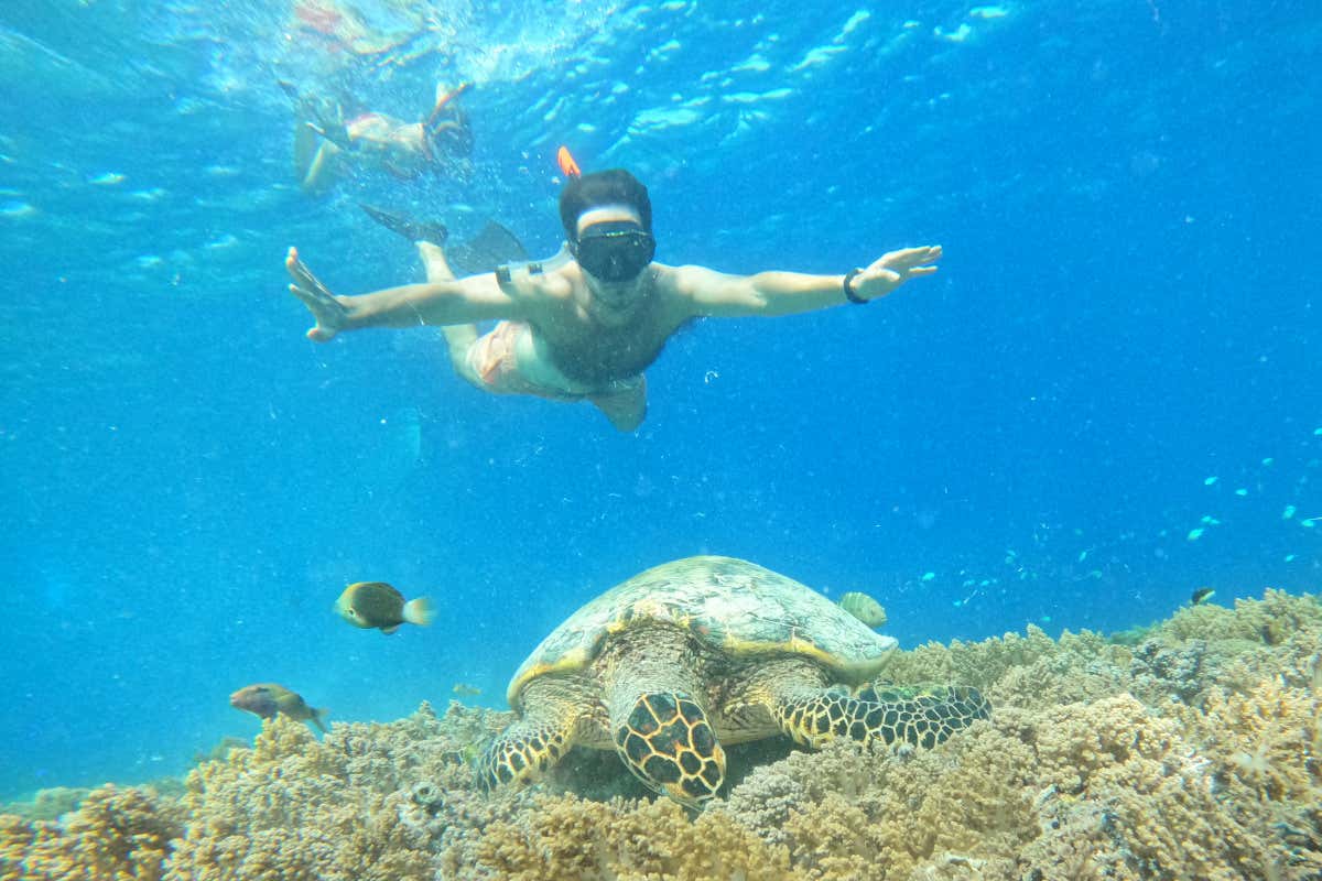 Un hombre practicando buceo con tortugas gigantes