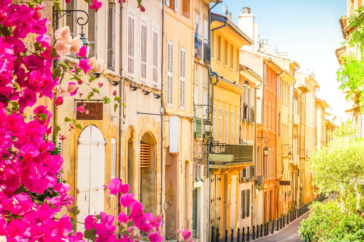 Calle con casas de colores y unas flores violetas en su parte frontal