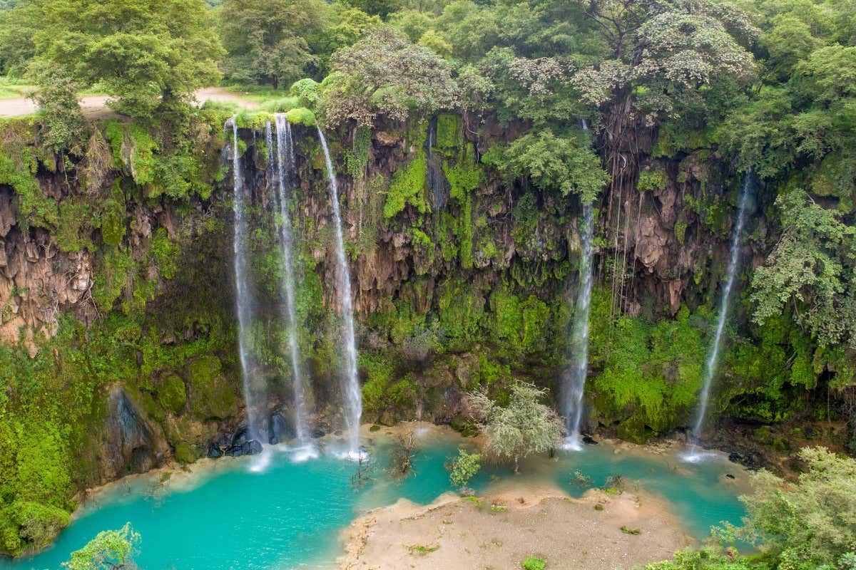 Vista aérea de unas cascadas rodeadas de una exuberante vegetación