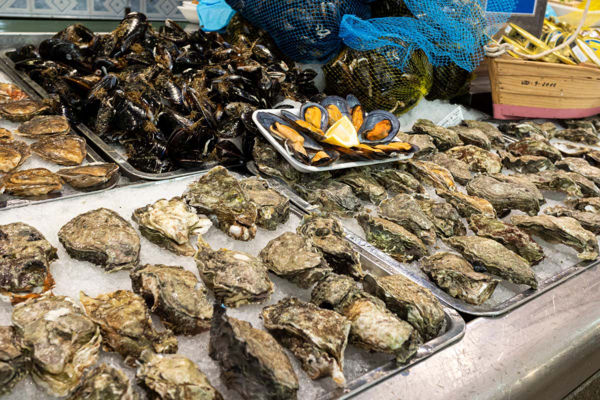 Varias ostras y otros mariscos expuestos sobre bandejas de hielo en un mercado de abastos