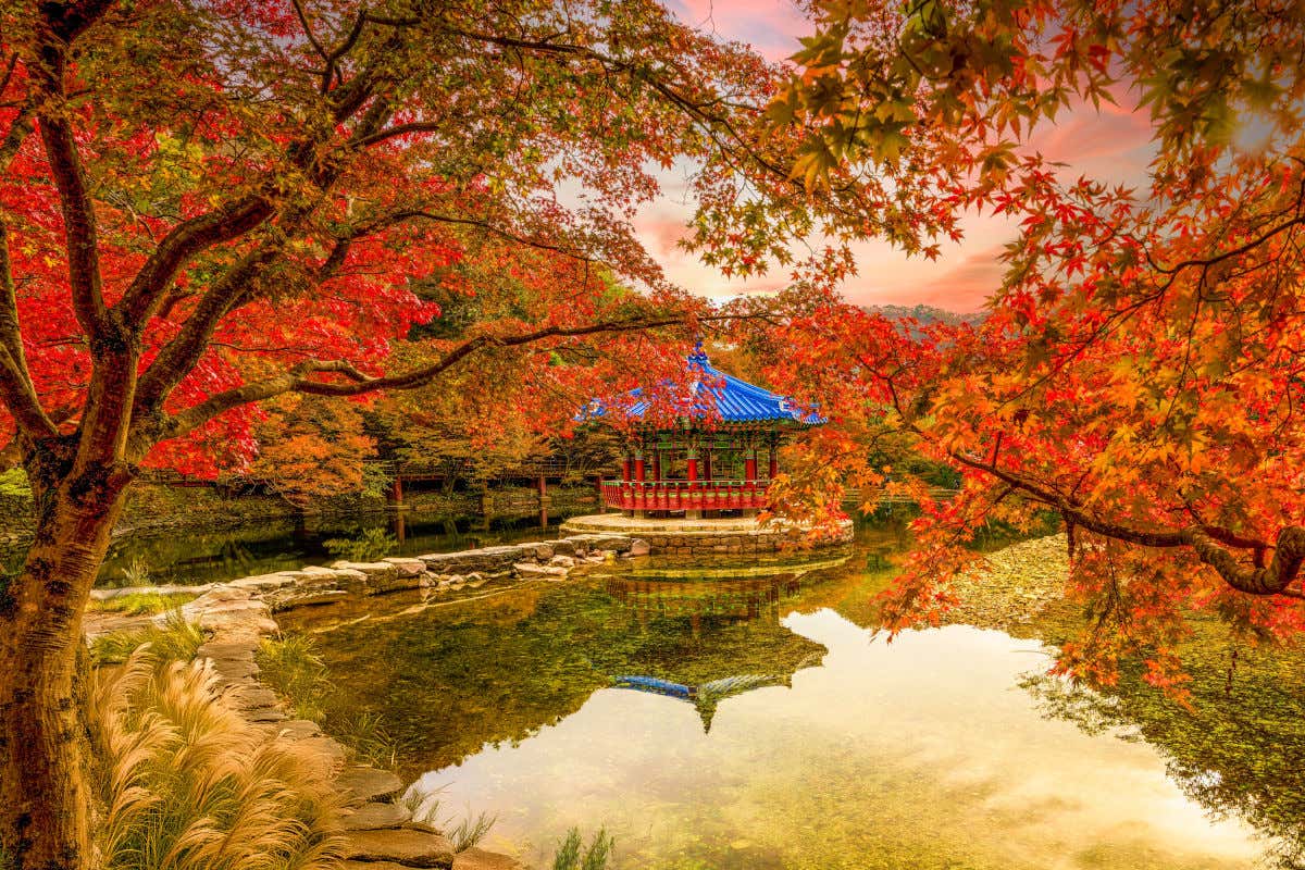 Un templo asiático junto a un estanque y rodeado de árboles de hojas de color ocre típicas del otoño