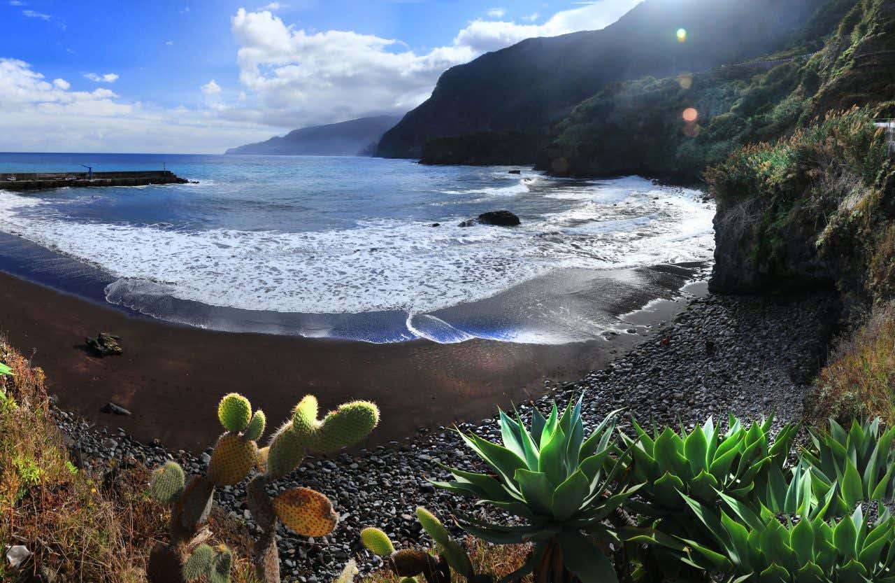 Vue sur une plage de sable noir près de Seixal, avec des plantes grasses en premier plam