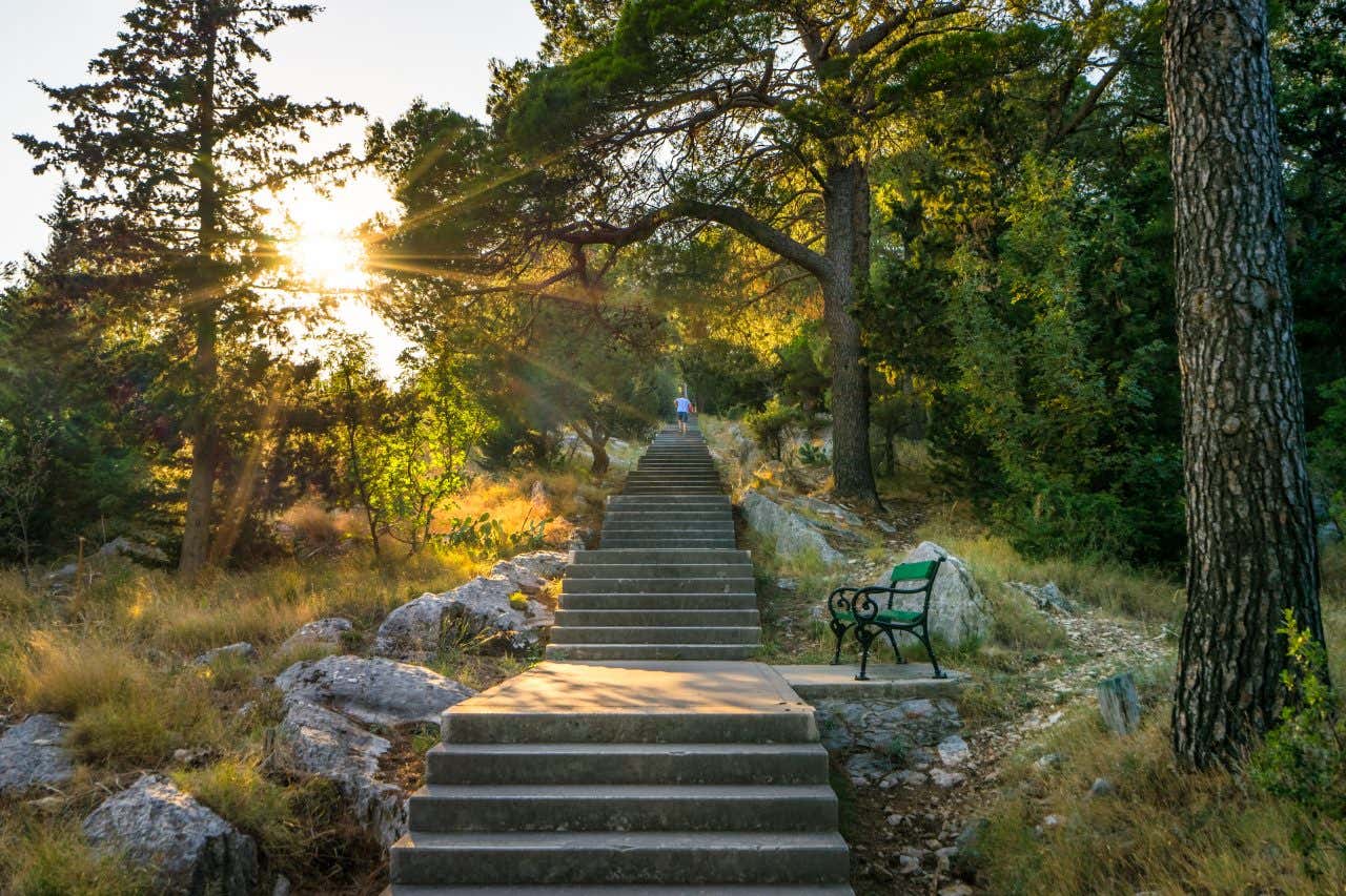 A long stone staircase ascends a forested hillside towards a distant figure, with sunlight shining through the trees at the top. A green park bench is visible beside the stairs, and large rocks line the path.