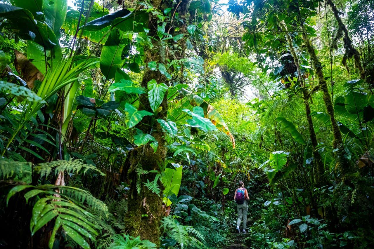 Una ragazza zaino spalla attraversa un sentieri nella rigogliosa e verde giungla costaricana 