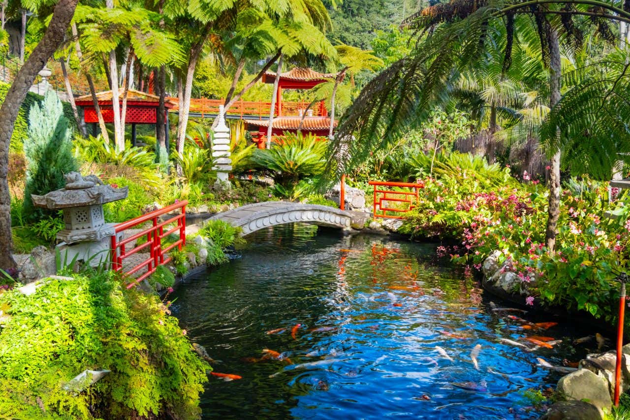 Jardin japonais dans les jardins du Monte Palace, une visite à faire à Madère