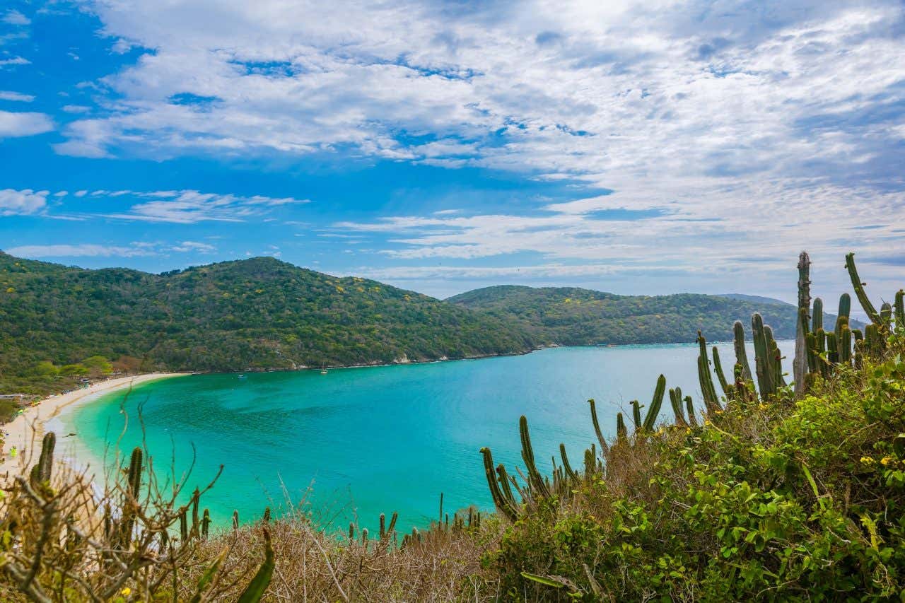 Vista do mirante da praia do forno, que mostra a praia turquesa com areia branca rodeada de vegetação