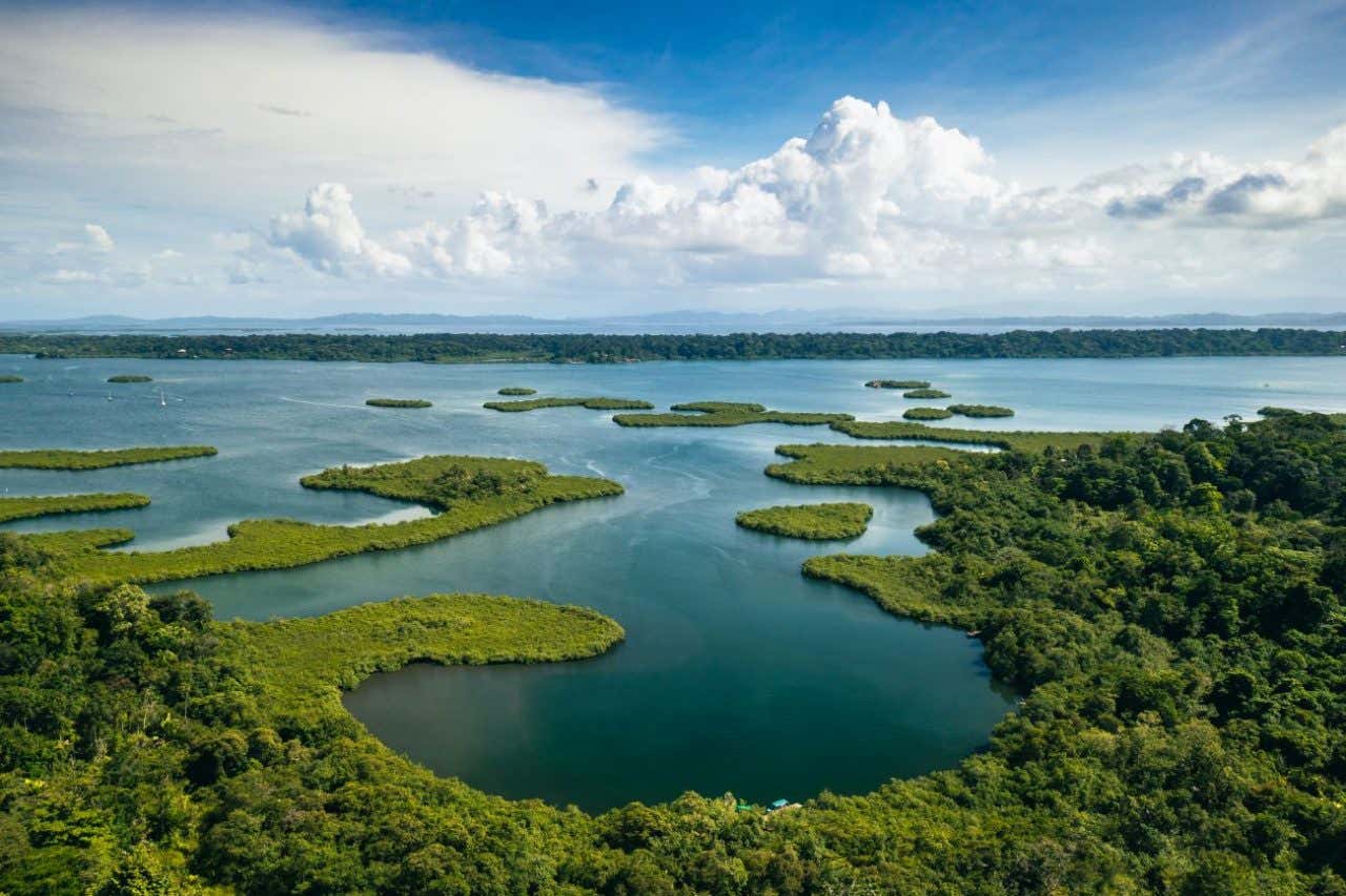 Una vista aérea de varios cayos con densa vegetación y el mar