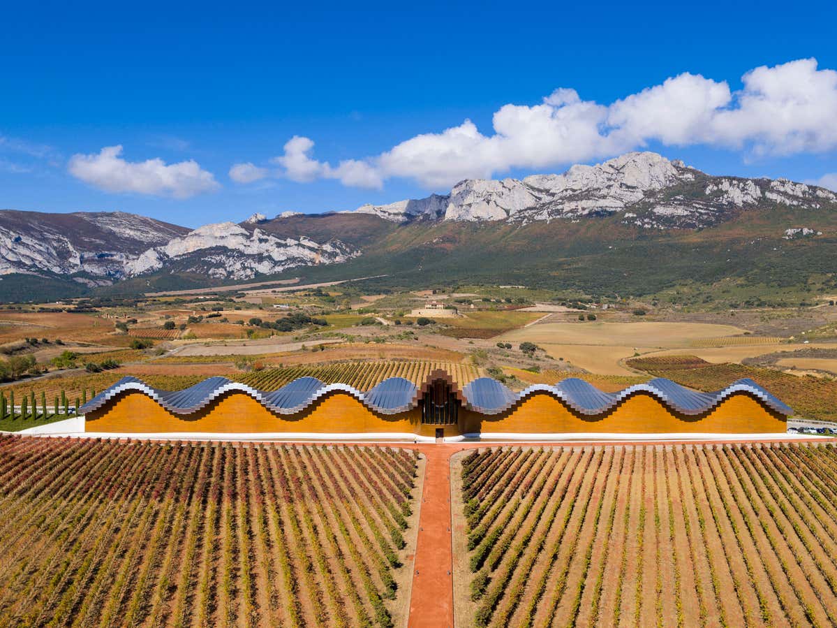 Vista panorámica de una moderna bodega con viñedos en primer plano y el cielo azul en Álava, tierra de vinos
