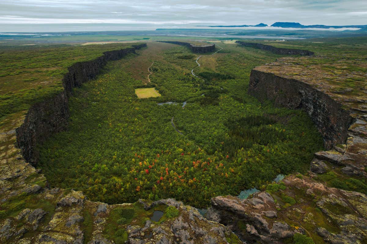 Vista aérea de un profundo y gran cañón de Islandia repleto de vegetación