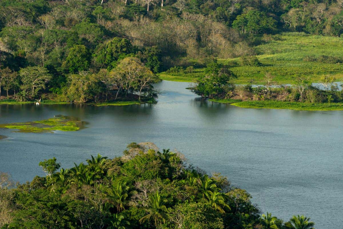 Un lago rodeado de vegetación y varios islotes