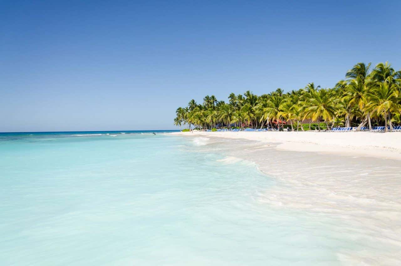 Una playa de arena blanca y varias palmeras con un mar de aguas bajas