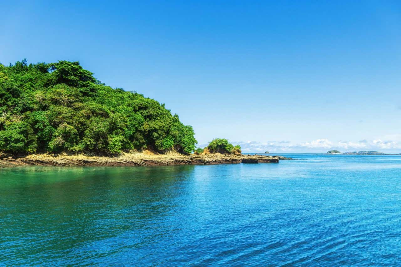 Una playa de densa vegetación