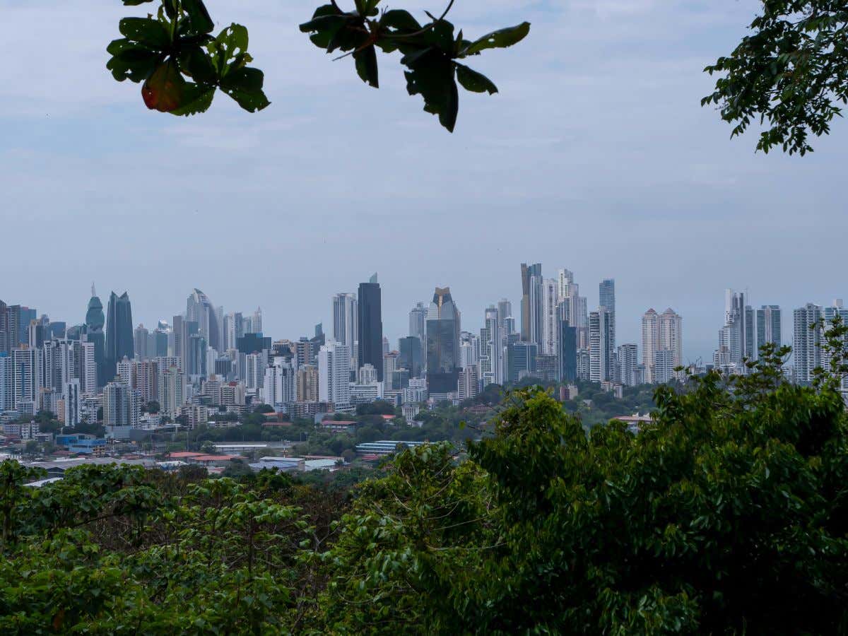 Vista de un skylina desde un bosque