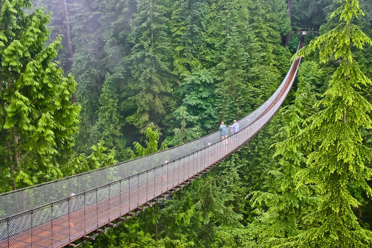 Dos personas admiran un bosque mientras caminan por el puente colgante Capilano, uno de los lugares que ver en Vancouver