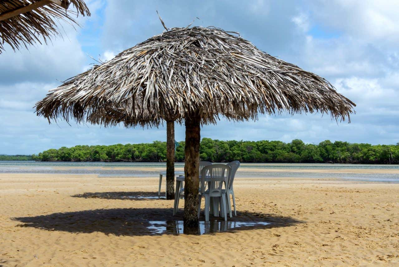 Guarda-sol de palha com sombra na areia com vegetação frondosa ao fundo