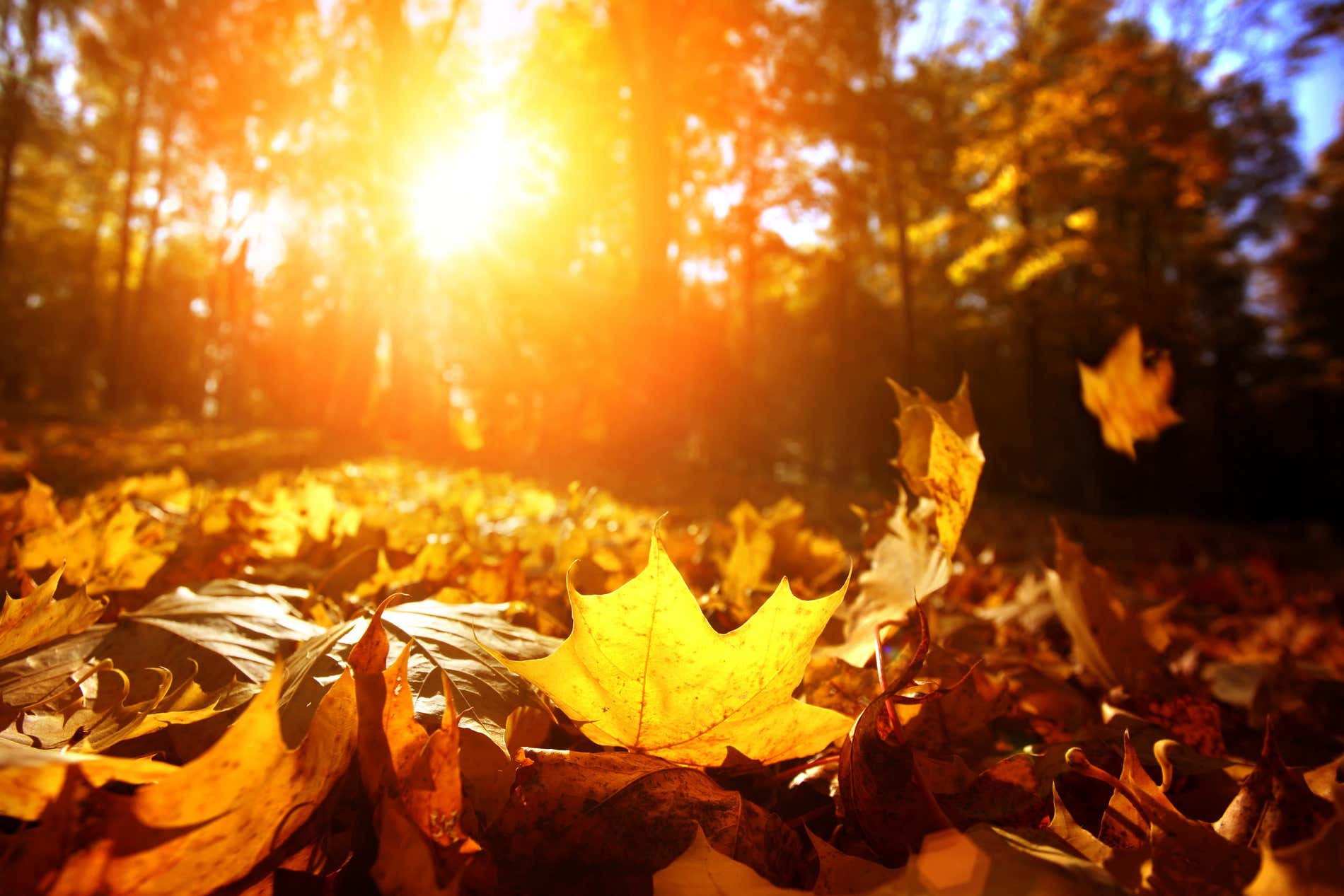 Où partir en octobre : les meilleures destinations