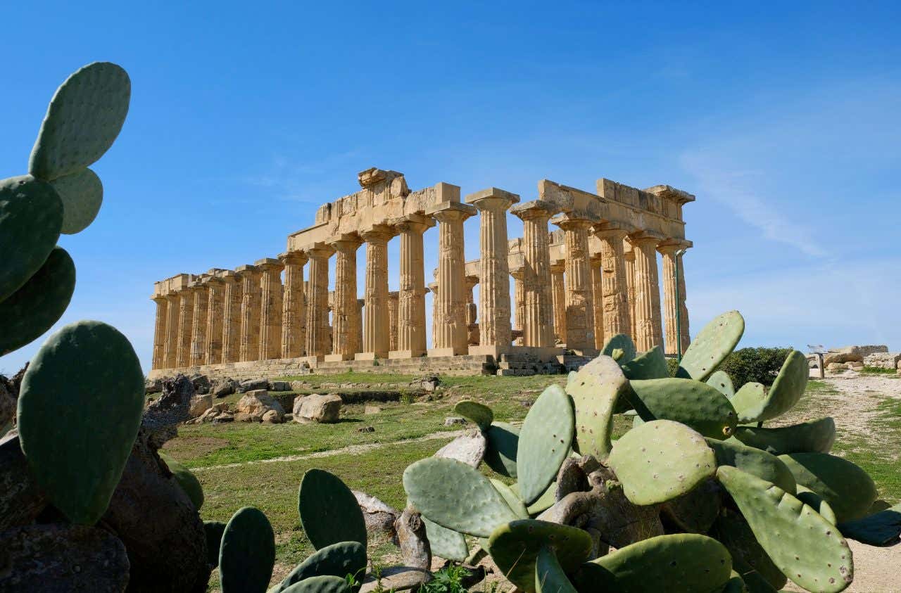 Dei cactus in primo piano fanno da cornice ai resti di un antico tempio greco sullo sfondo, all'interno del parco archeologico di Selinunte