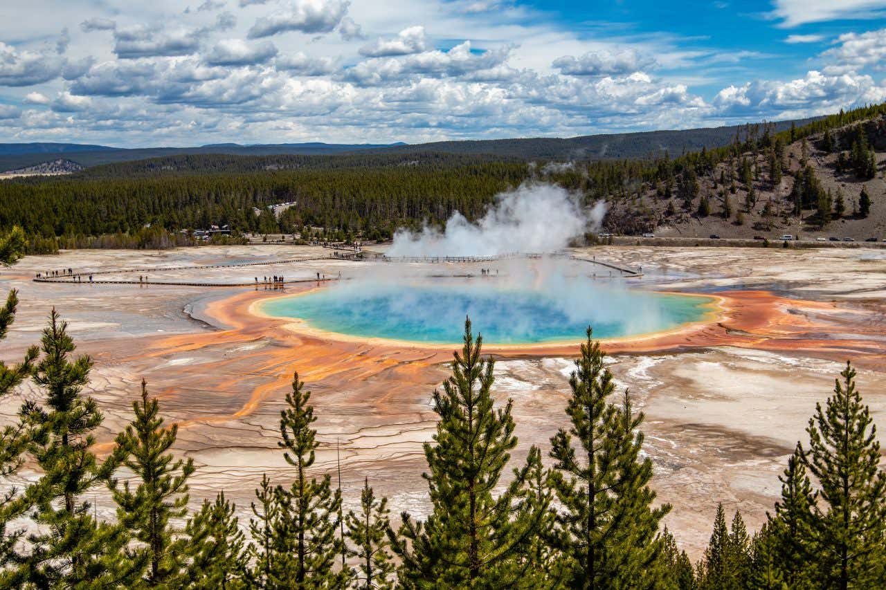 Veduta panoramica del Grand Prismatic Spring, una sorgente termale a forma circolare, con acque che sfumano dal blu intenso al verde e bordi arancioni e rossi. Dalla superficie si alzano vapori bianchi, mentre tutt’intorno si estende un vasto paesaggio naturale con foreste di conifere e montagne