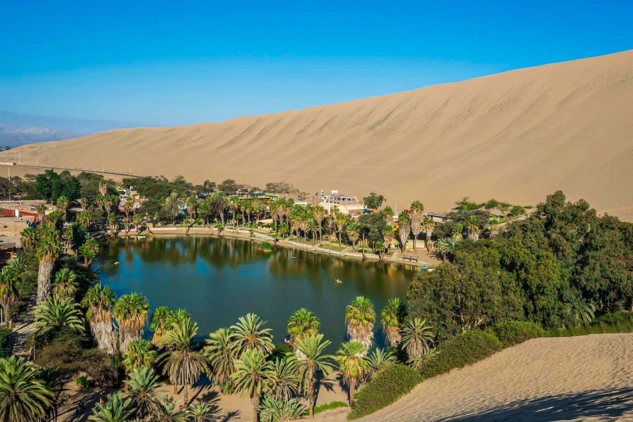 Lagoa rodeada de vegetação com as dunas de Huacachina ao fundo