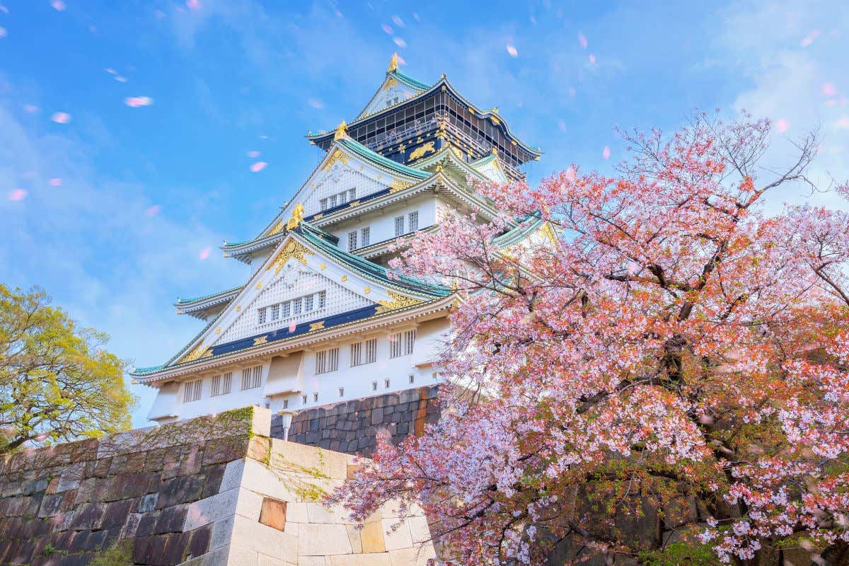 Panorámica del castillo de Osaka junto a un cerezo en flor en un día despejado