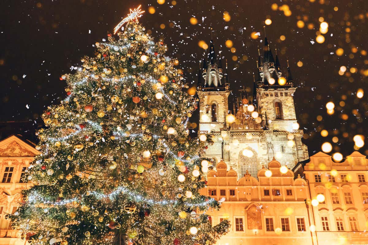 Un árbol de Navidad natural decorado con bolas y luces totalmente iluminado por la noche frente a las dos torres de la iglesia de Týn, en Praga