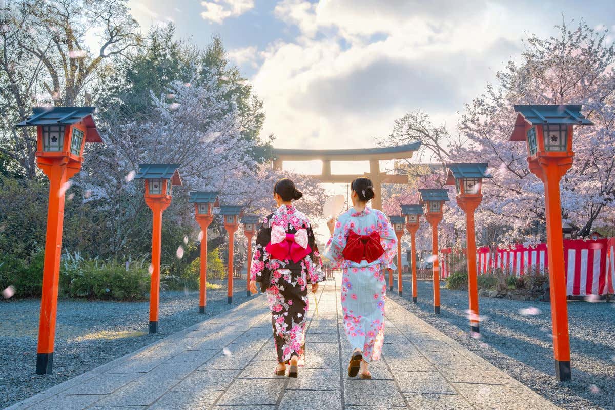 Dos mujeres con kimono paseando por un sendero que conduce a un templo de Japón rodeado de cerezos en flor