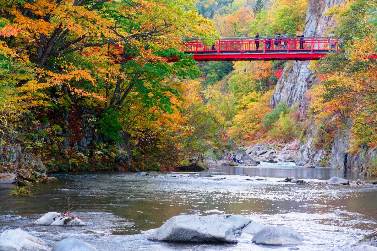 Un puente rojo atravesando un río y rodeado por numerosos árboles con hojas de color ocre