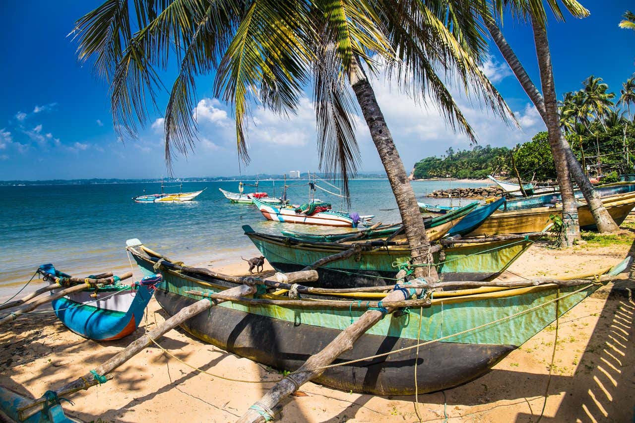 Various boats alongside palm trees on a beachfront, with more boats sailing in the bay.