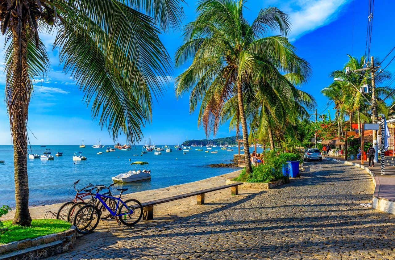 Rua de paralelepípedos com palmeiras e vista do mar repleto de barcos