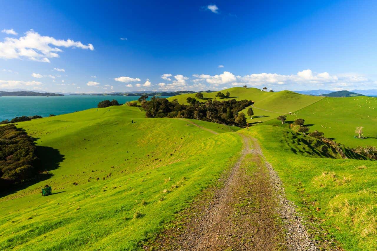 Paisagem natural de um campo verde, com árvores e o oceano turquesa ao fundo em um dia ensolarado