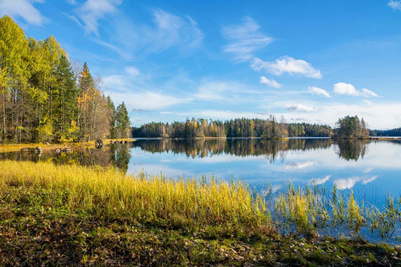 A view of an expansive lake with trees all around it and a cloudy blue sky in the background.