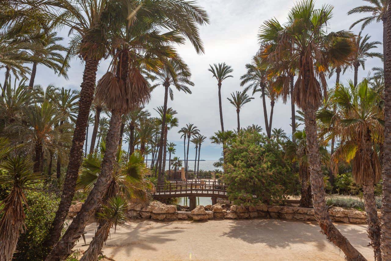 Un parco urbano fatto di alberi di palma, decorato con ponticelli di legno sospesi su un laghetto e il mare sullo sfondo in un giorno di sole