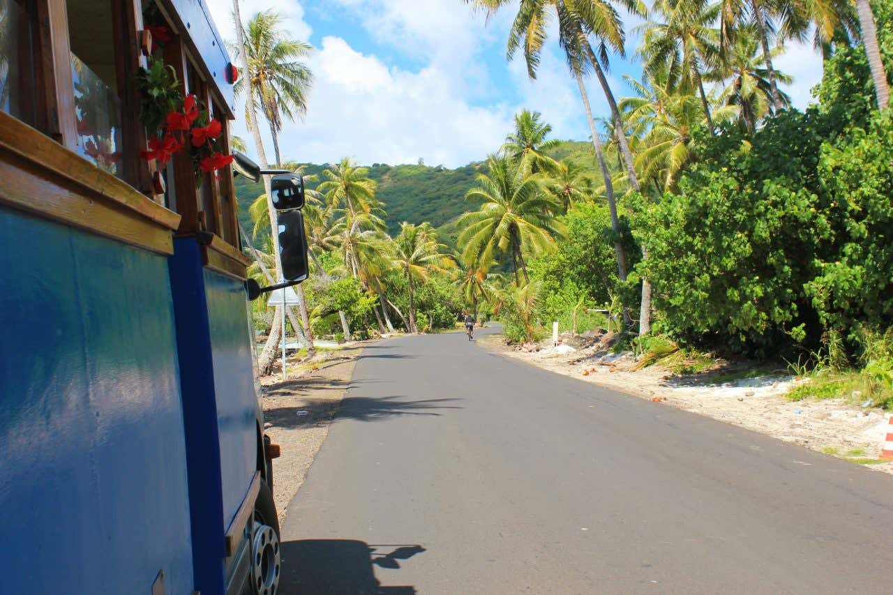 Un piccolo autobus blu decorato con fiori tropicali fermo al margine di una strada asfaltata che attraversa una folta vegetazione fatta di passi cespugli e palme