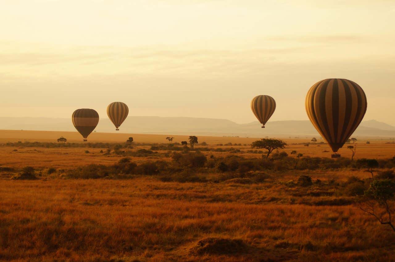 Montgolfières au lever du soleil au-dessus de la savane du Masaï Mara