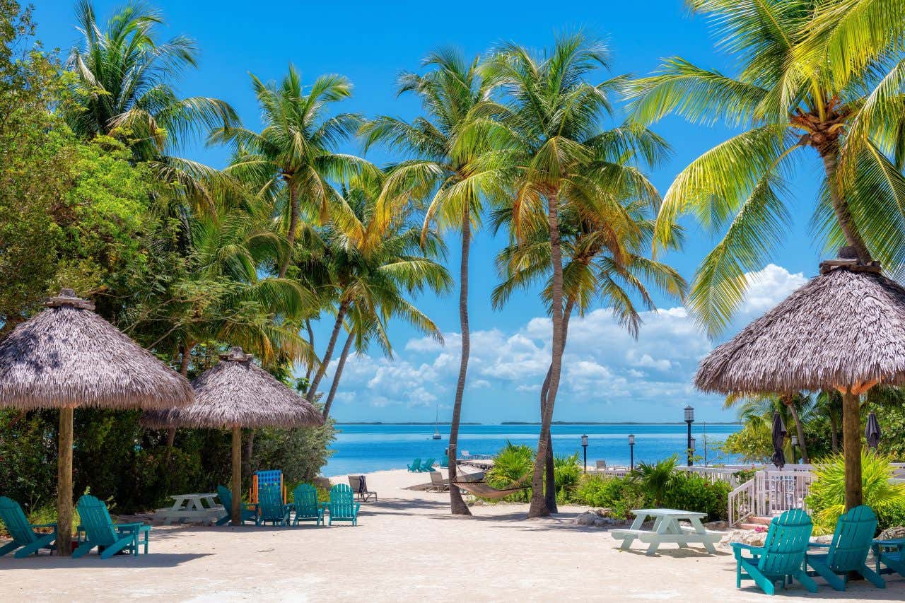 Palme, ombrelloni di paglia e sedie a sdraio nei pressi si una spiaggia caraibica in un resort delle Barbados