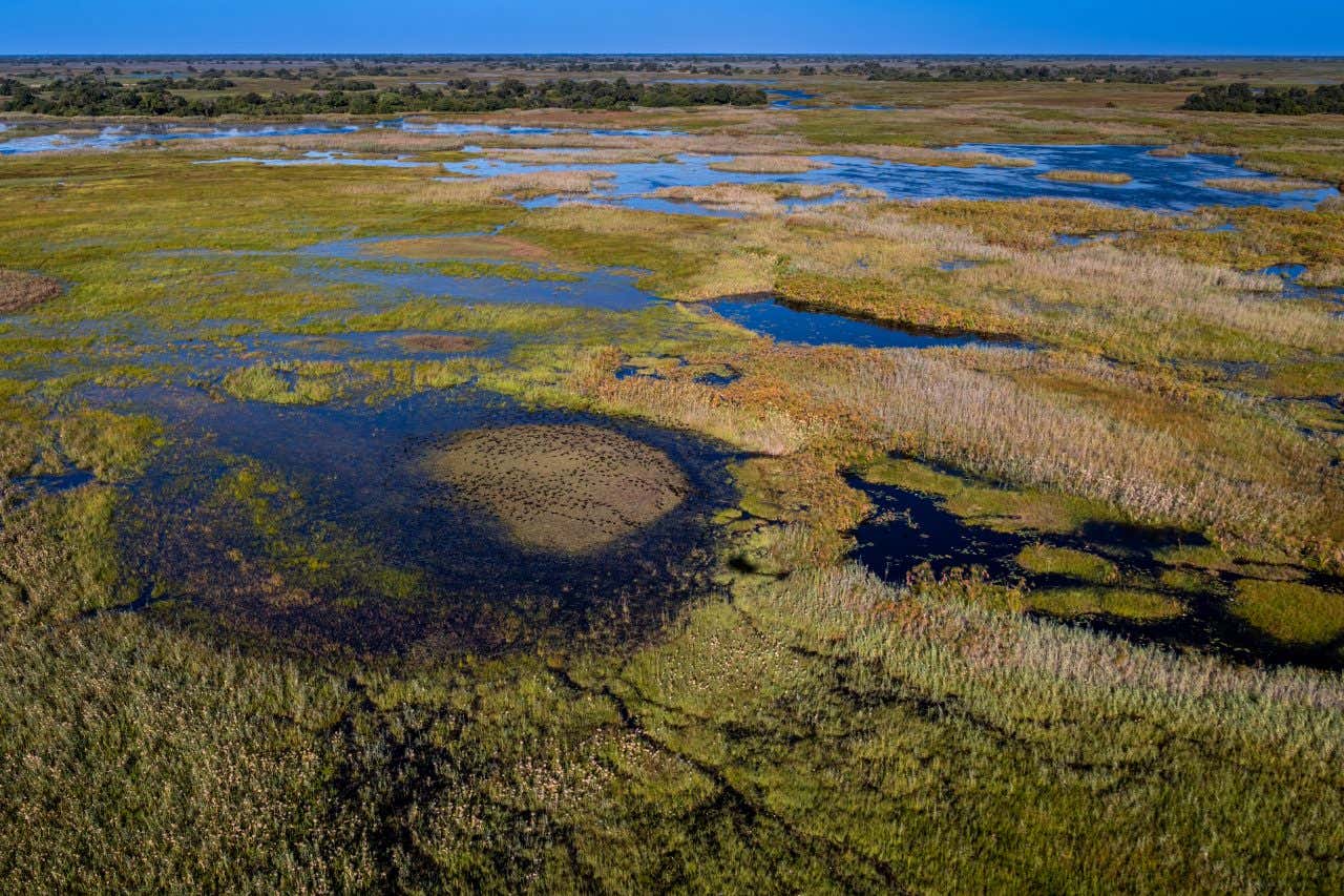 Paysages du Delta de l'Okavango, vue aérienne