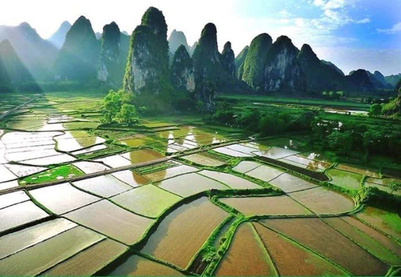 Vue sur des rizières du Laos, une destination idéale où partir en novembre