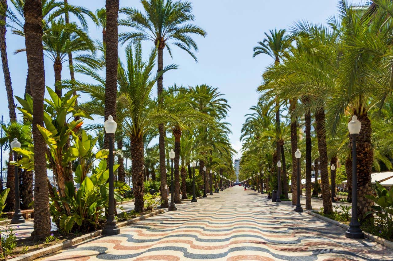 Il lungomare di Alicante circondato da palme e pavimentato con mosaici a forma di onda di tre colori, crema, arancione e blu