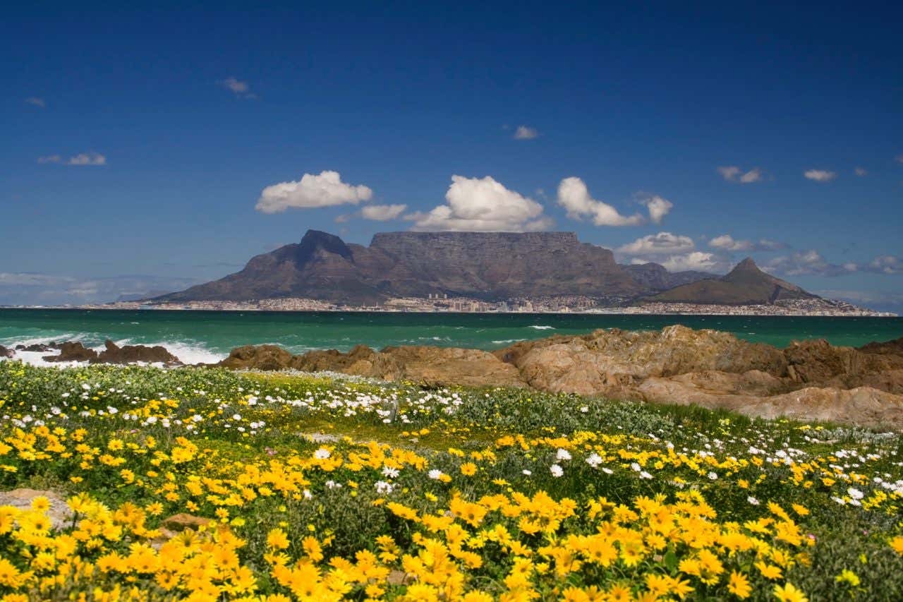 Panorâmica da Cidade do Cabo com flores no primeiro plano, formações rochosas, o mar esmeralda e a Table Mountain ao fundo